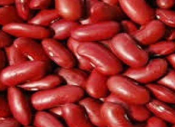 gallery/red kb